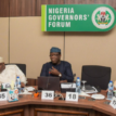 COVID-19: Governors working with FG on vaccine procurement – NGF