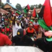 Attacks on Police in Rivers masterminded by IPOB — CP alleges