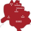 Covid-19: Kano residents in panic buying over fear of shutdown
