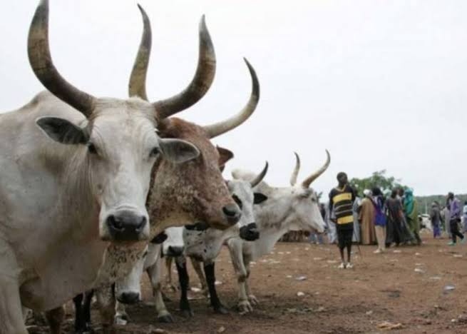 Anti-open grazing law, Fulani herders, Oyo State