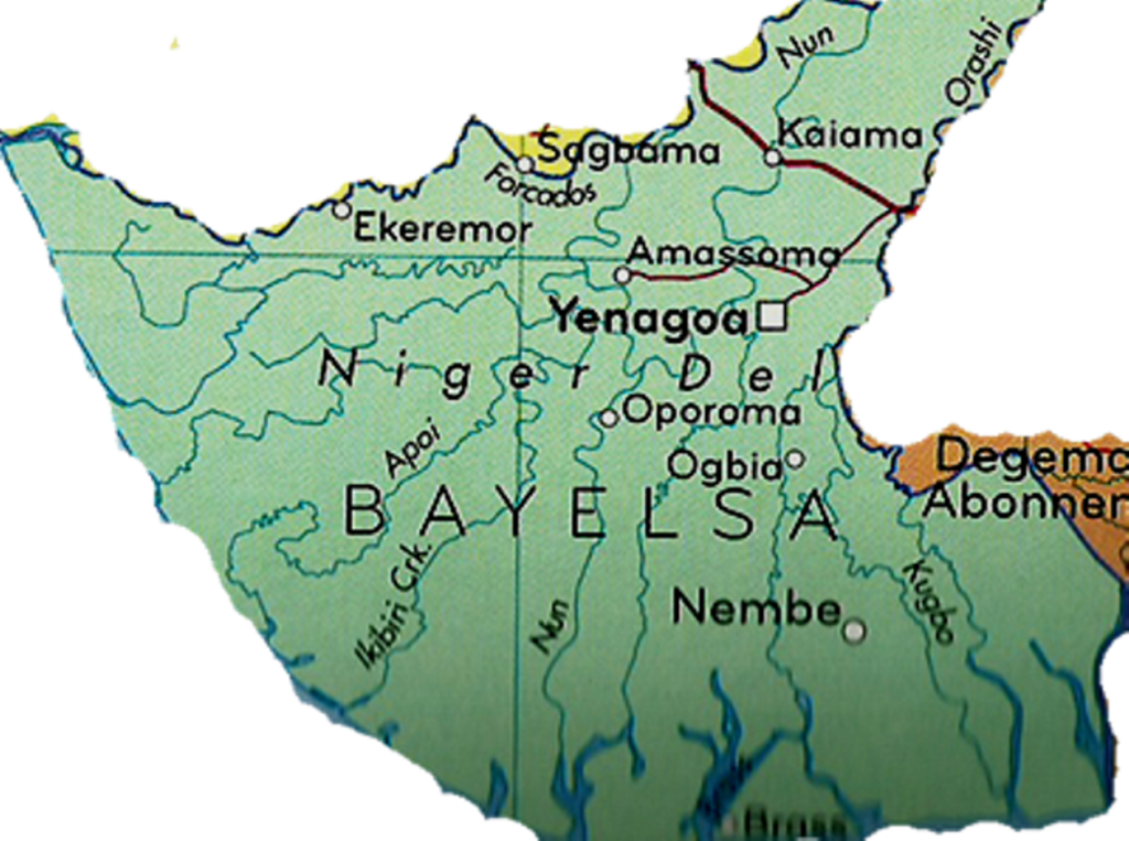 Bayelsa community seeks govt. intervention as criminals sack settlement