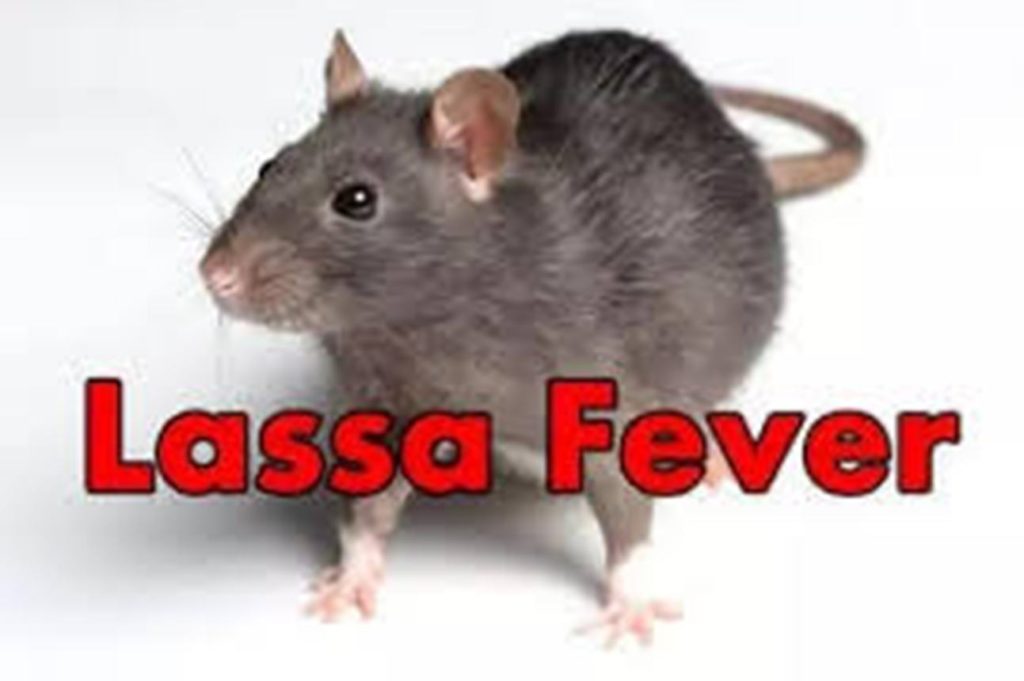 Lagos Govt confirms 1 Lassa fever case, isolates patient at LUTH