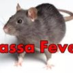 Lassa fever deaths in Nigeria rise to 185