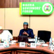 States to get $2m each to accomplish GIS — NGF