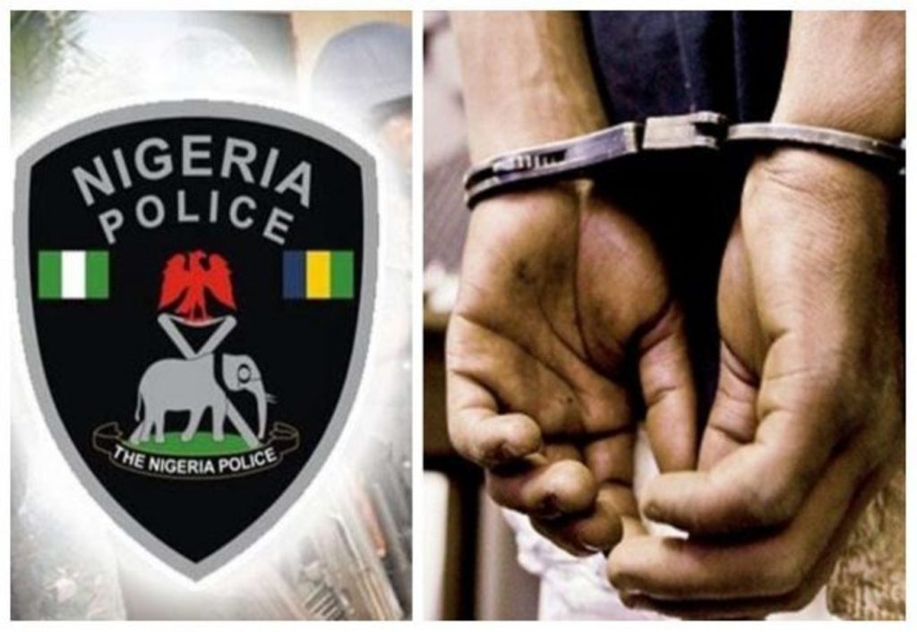 Police parade 33 kidnappers, 10 robbery suspects in Adamawa
