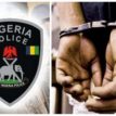 Police arrest ex-convict for robbery in Ogun