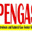 Petroleum tanker drivers not part of PENGASSAN industrial action nationwide — Salimon Oladiti
