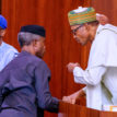 FG begins disbursement of N20,000 to 1m Nigerians