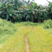 Bloodbath in Lagos community: Two killed, policeman, others injured over land dispute