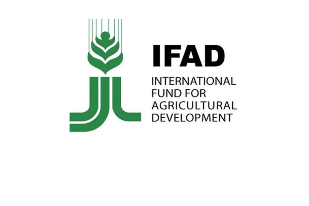 COVID-19: IFAD provides grant of $900, 000 to support small-scale farmers in 7 northern States
