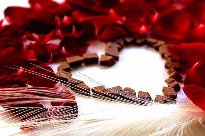 Valentine: We prefer credit alerts to flowers, cards, chocolates — Jos women