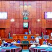 N26.9bn COVID-19 expenditure: Reps clear SDG boss