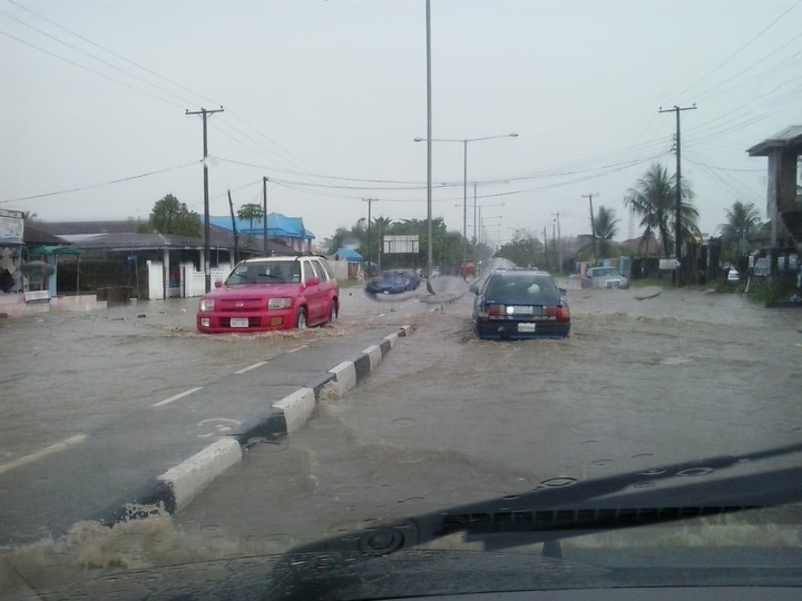 Rain wrecks havoc, destroys houses ,economic trees in Calabar