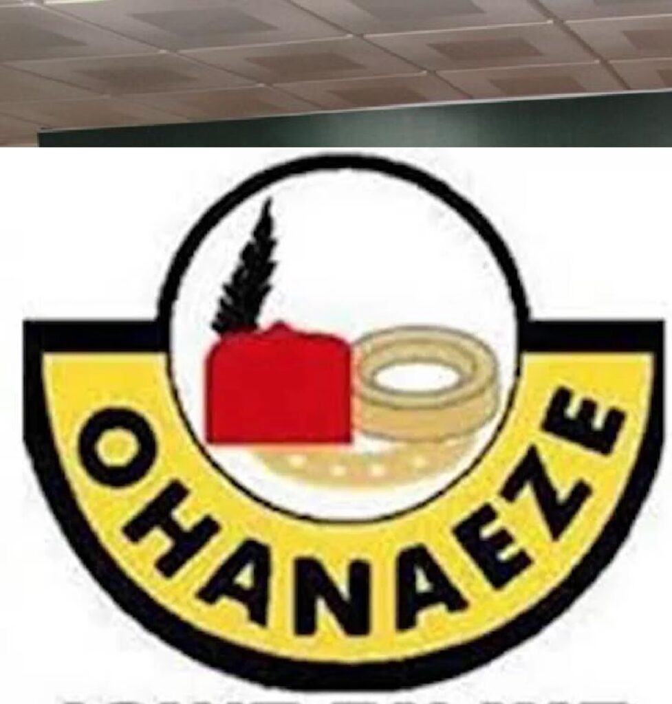 IWA rejects parallel Ohanaeze Ndigbo elections outcomes