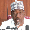 Local vigilante helping us to address insecurity ― Governor Zulum