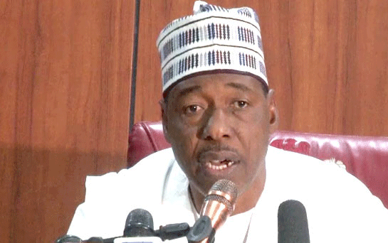 Borno porous borders responsible for proliferation of fire arms by insurgents ― Says Zulum