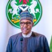 Insecurity: FG declares war on bandits, kidnappers, others