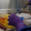Australia to import 10 million coronavirus tests from China despite diplomatic row