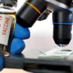 Don’t let patent rows hamper search for coronavirus vaccine, UN advises