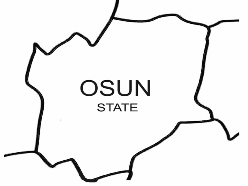 Why we didn’t distributes looted COVID-19 palliatives, Osun food committee