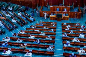 Recession: Reps canvass N50bn bailout for airlines