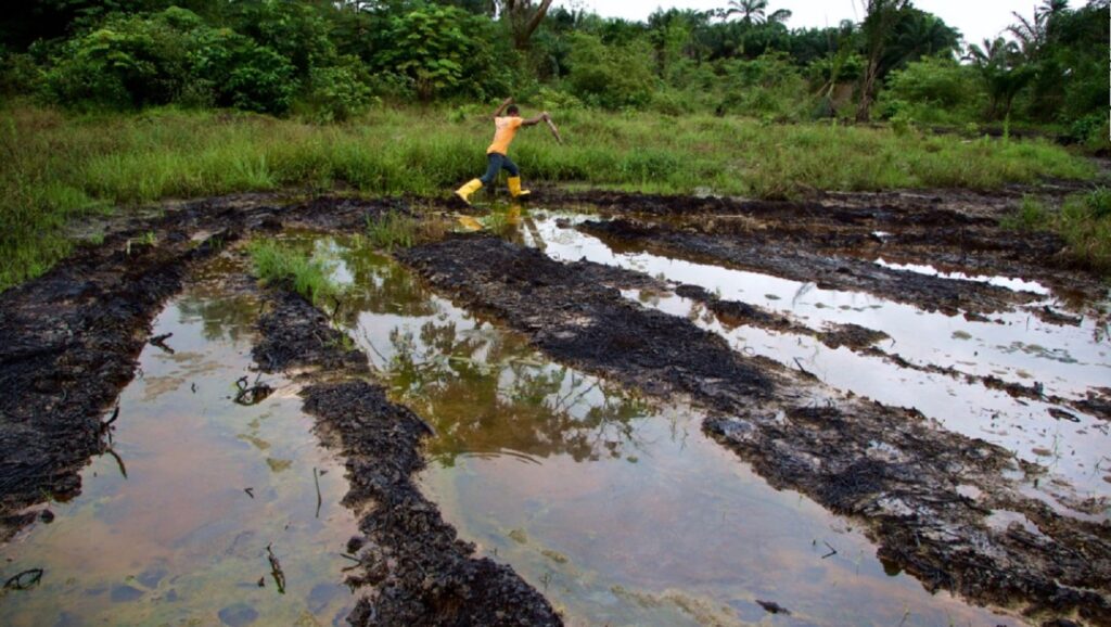 Niger Delta polluted environment facing systematic neglect ― Nimmo Bassey
