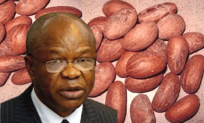 COVID-19: Iwu restates efficacy of herbal medicine treatment