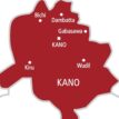 Two youths allegedly killed in tea joint in Kano