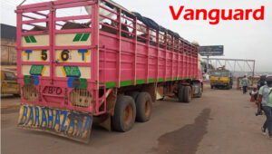 A trailer loaded with cow and about forty people coming from Zamfara state arrested at the Berger end of Lagos-Ibadan expressway, May 4, 2020. PHOTO: Lamidi Bamidele