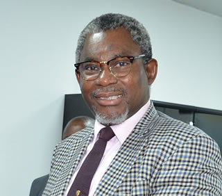 We opened up a new perspective for Nigerian gold investors - Adegbite