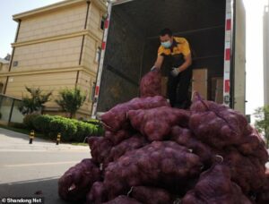 Chinese onions