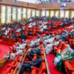 Insecurity: Nigeria under siege, Senate says