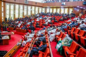 Insecurity: Nigeria under siege, Senate