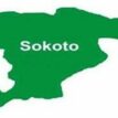FG COVID-19 Palliative: SEMA commences distribution in 3 LGAs in Sokoto