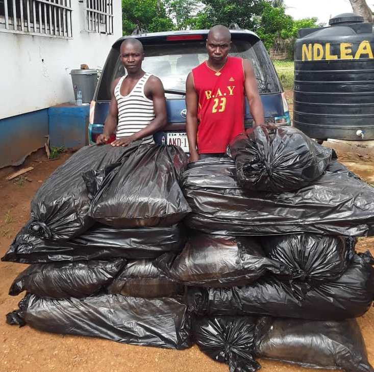 NDLEA arrest man for drug trafficking in Edo