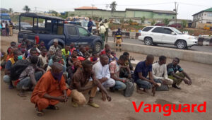 Trailer Video, Photos: About 40 people from Zamfara hidden amid cows arrested in Lagos