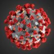 Global Coronavirus deaths top half a million