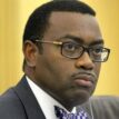 Fish farmers association lauds Africa’s confidence in Adesina as AfDB President