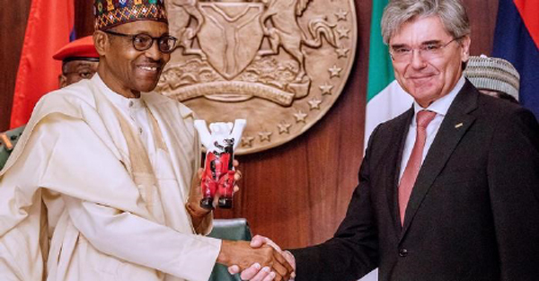 Nigeria’s energy crisis: A threat to biodiversity
