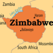 Zimbabwe nurses ‘reluctant’ to take Covid vaccine — Union