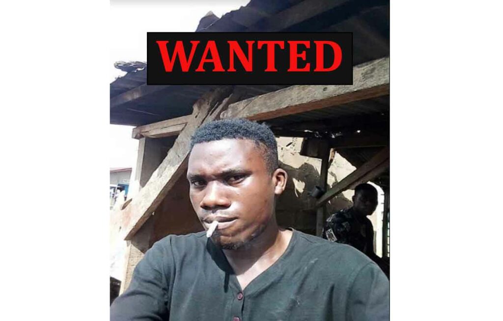 Police declare alleged serial killer wanted in Ogun