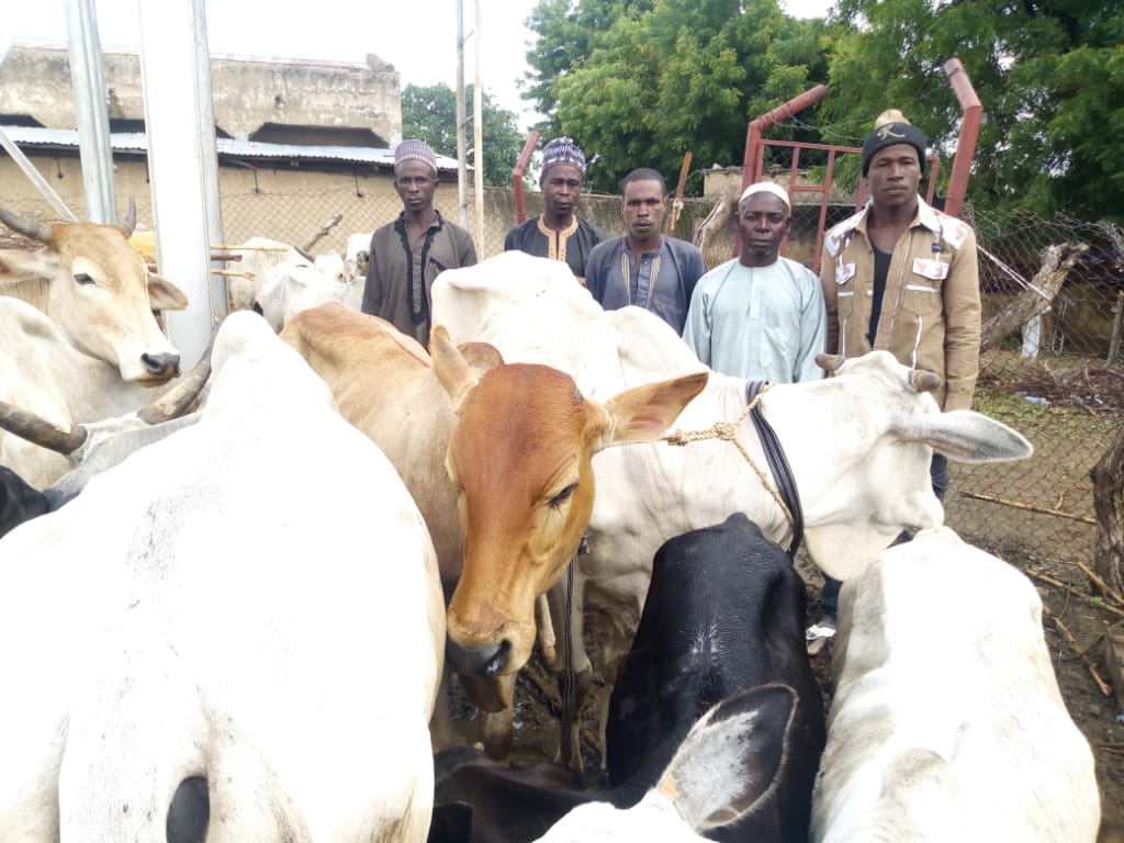 Anti-Banditry: Troops kill seven armed bandits, arrest six, recover 30 motorcycles & Rustled Cattle