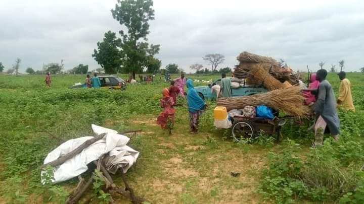 Boko Haram, Borno State