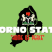 Borno govt closes 2 Colleges of Education over unrest