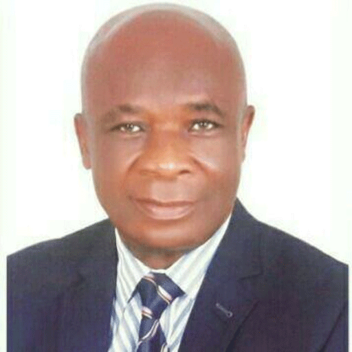 TETFund appoints Professor Chike Anibeze Coordinating Editor for anatomy book