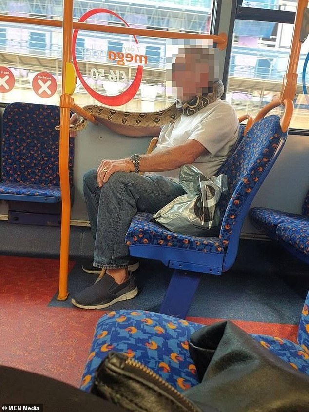 Man in commercial bus spotted wearing SNAKE instead of face mask