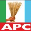 Imo North: Confusion as APC gets two candidates