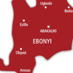 Alleged carrying of firearms: 64 DC Coordinators to sue Egwu, other PDP members in Ebonyi