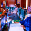 FEC approves N4.519bn for roads, education