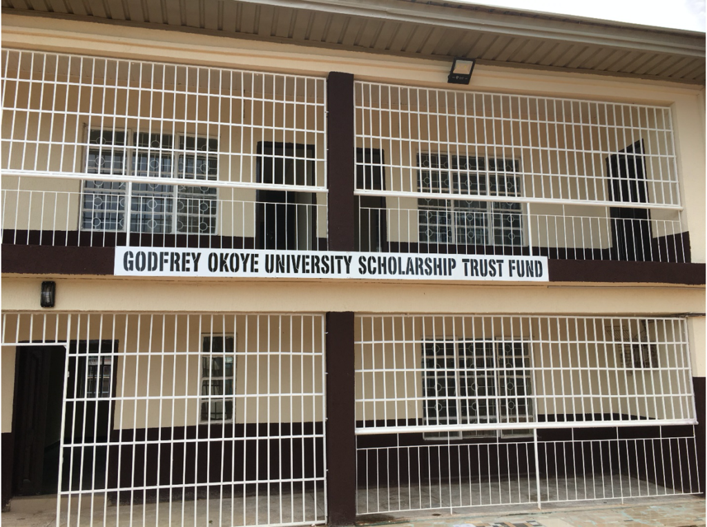 Study without Tears at Godfrey Okoye University: Get Admission at GO University and Apply for Scholarship - Vanguard News